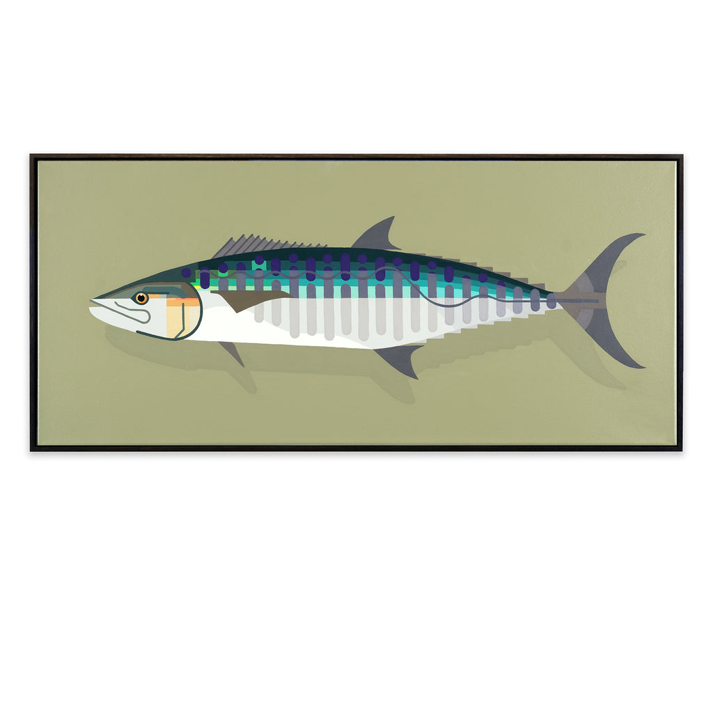 Spanish Mackerel