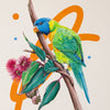 Rainbow Lorikeet