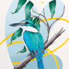 Sacred Kingfisher