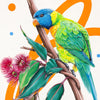 Rainbow Lorikeet (print edition)