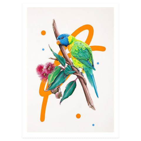 Rainbow Lorikeet (print edition)