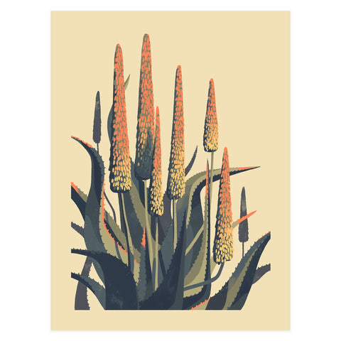 Aloe