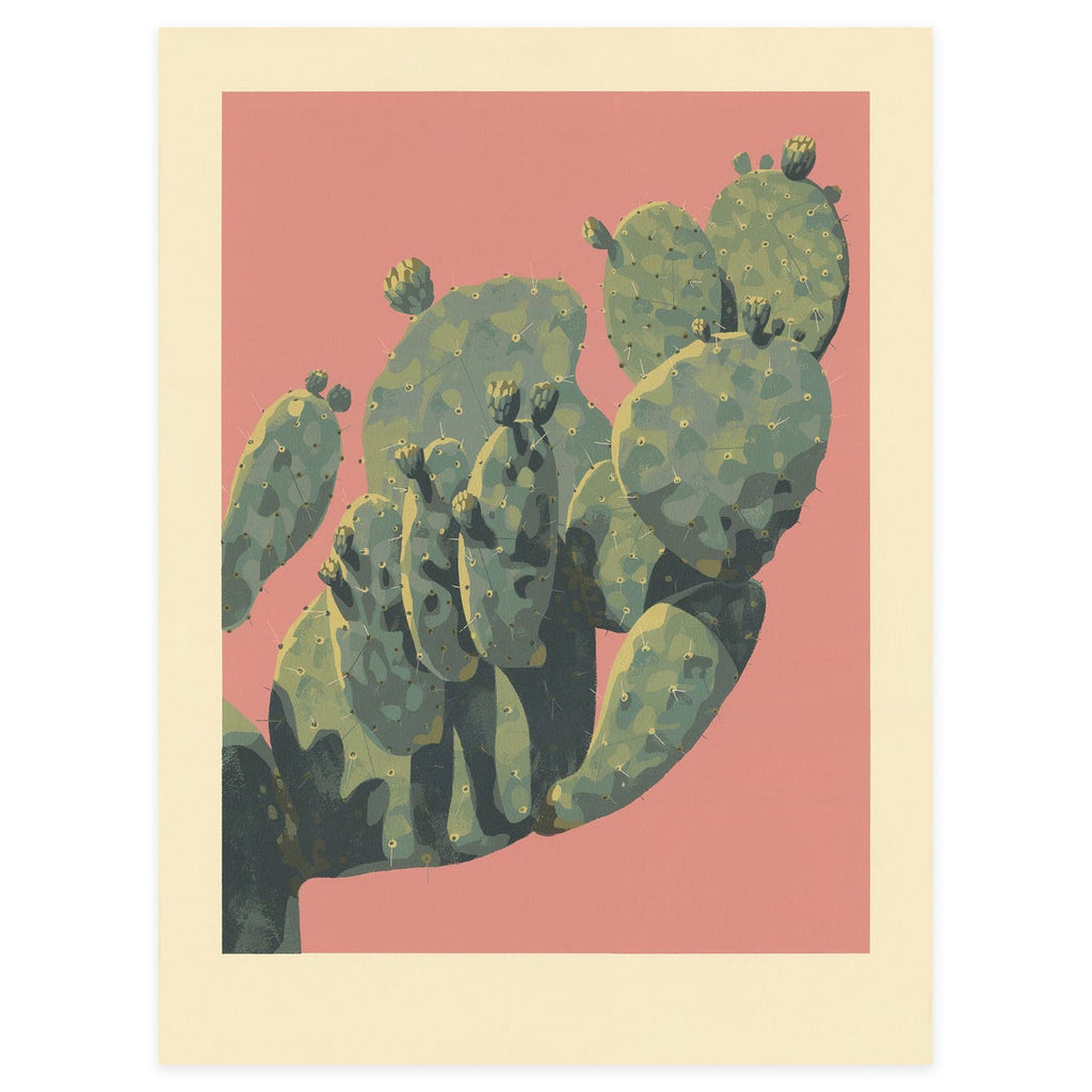 Prickly Pear on Pink