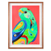 Mulga Parrot