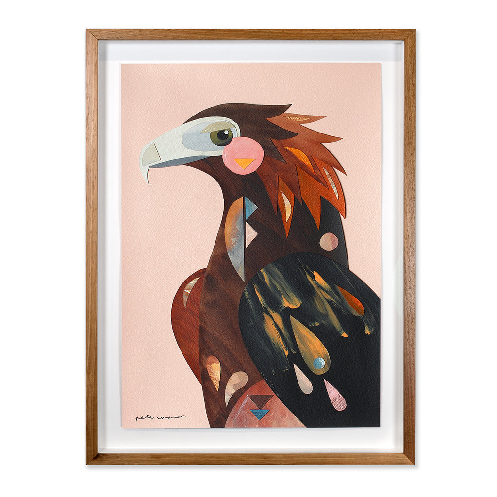 Wedge-tailed Eagle